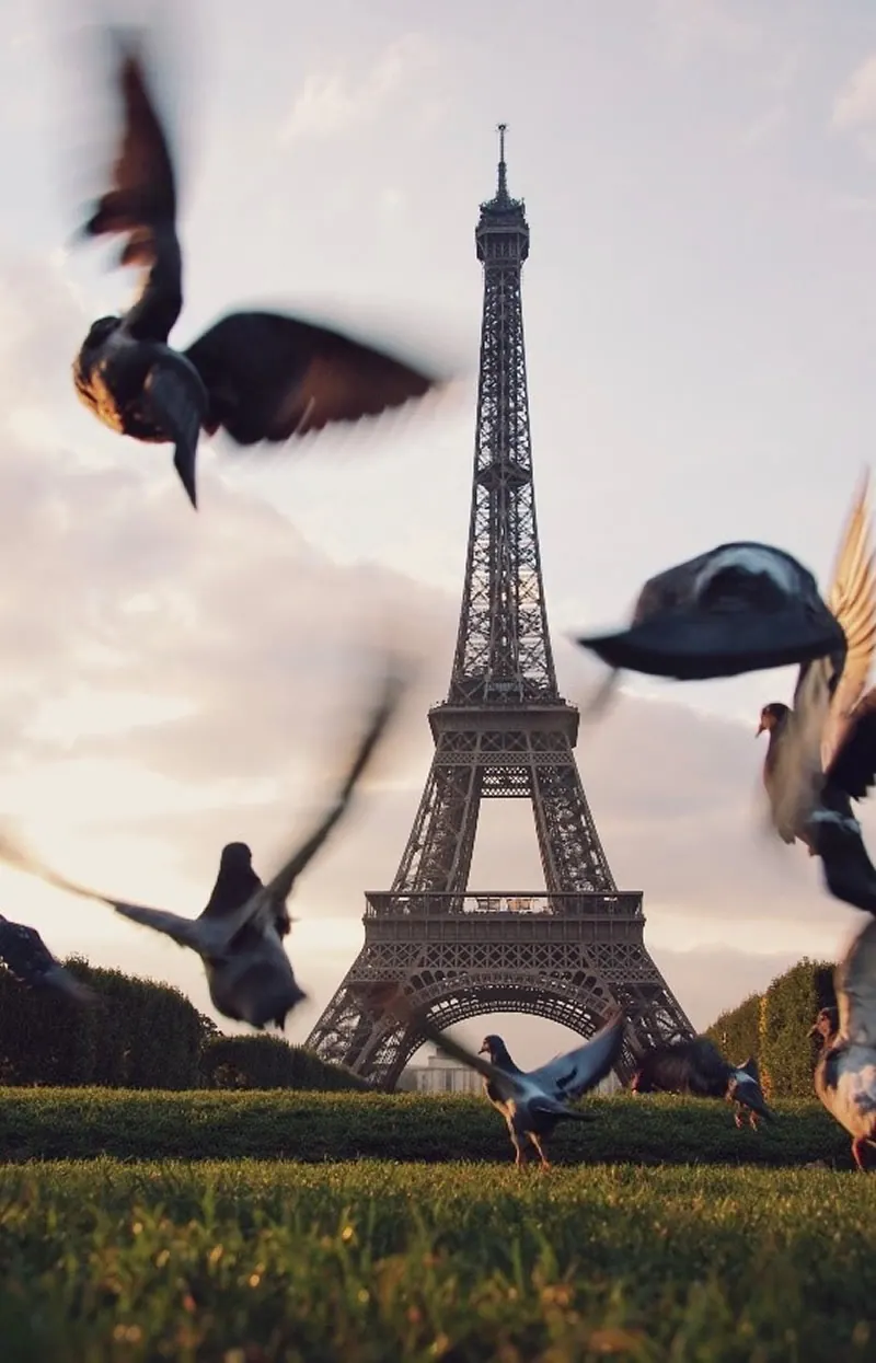 Imagine - only a few hours' drive will separate you from the Eiffel Tower! Eiffel Tower Paris