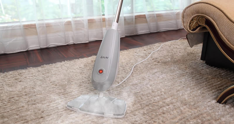 Carpet Clean Image