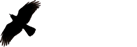 Ravenhill Removals Image