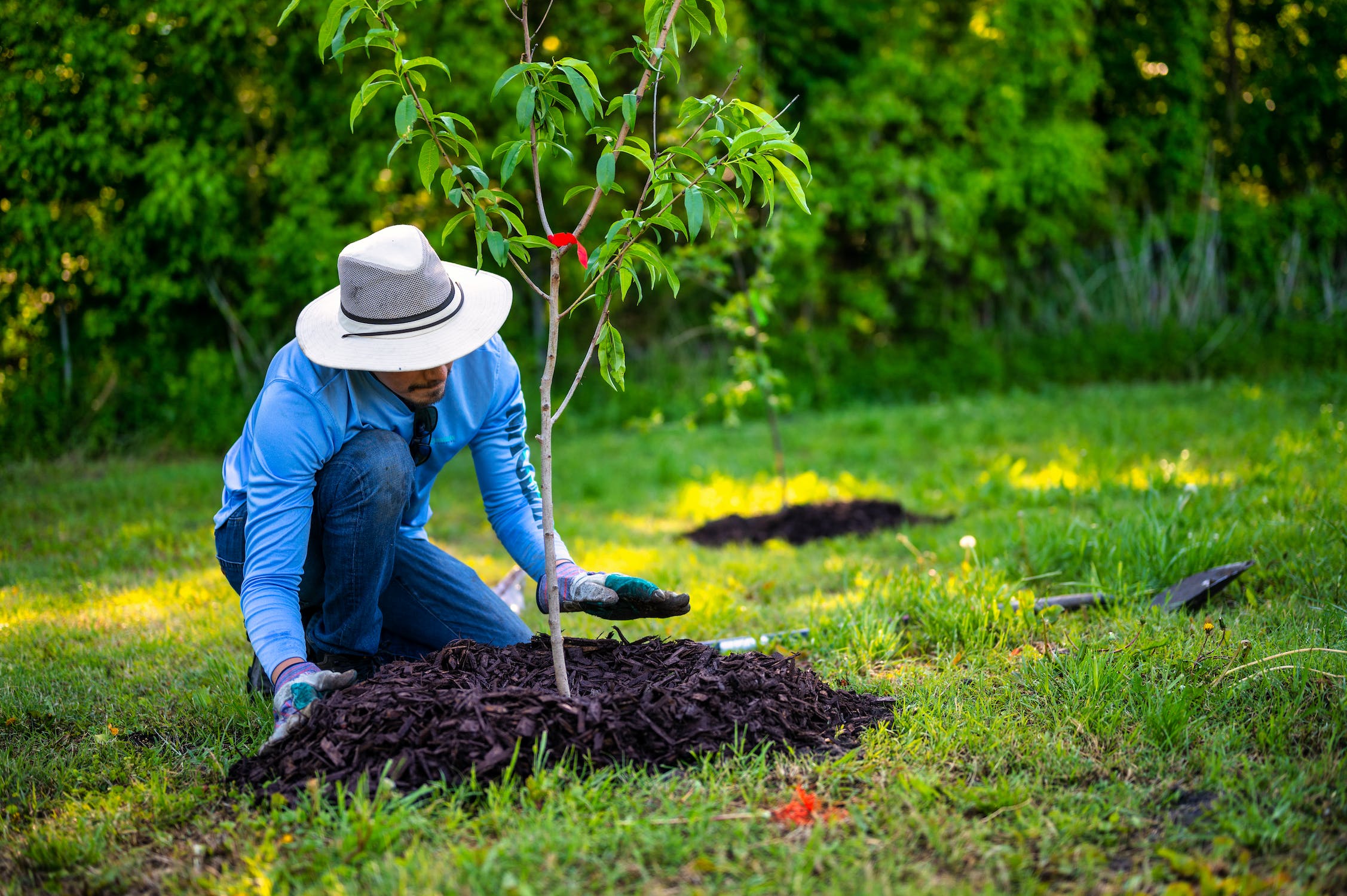 a man planting a tree in his new home