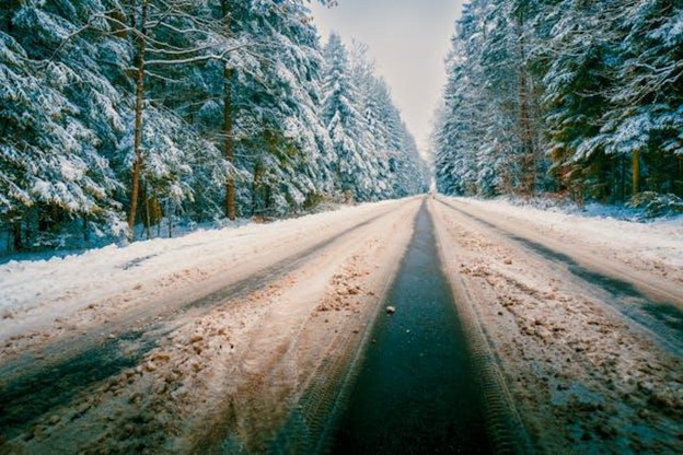 snow-covered road flanked by dense evergreen trees coated with snow